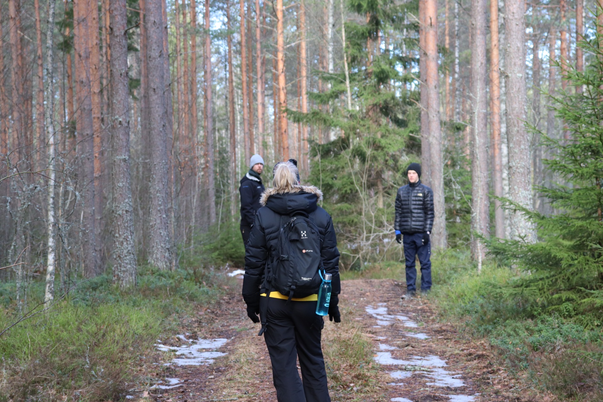 Hyvinvointipalvelut vuokramökillä luonnossa