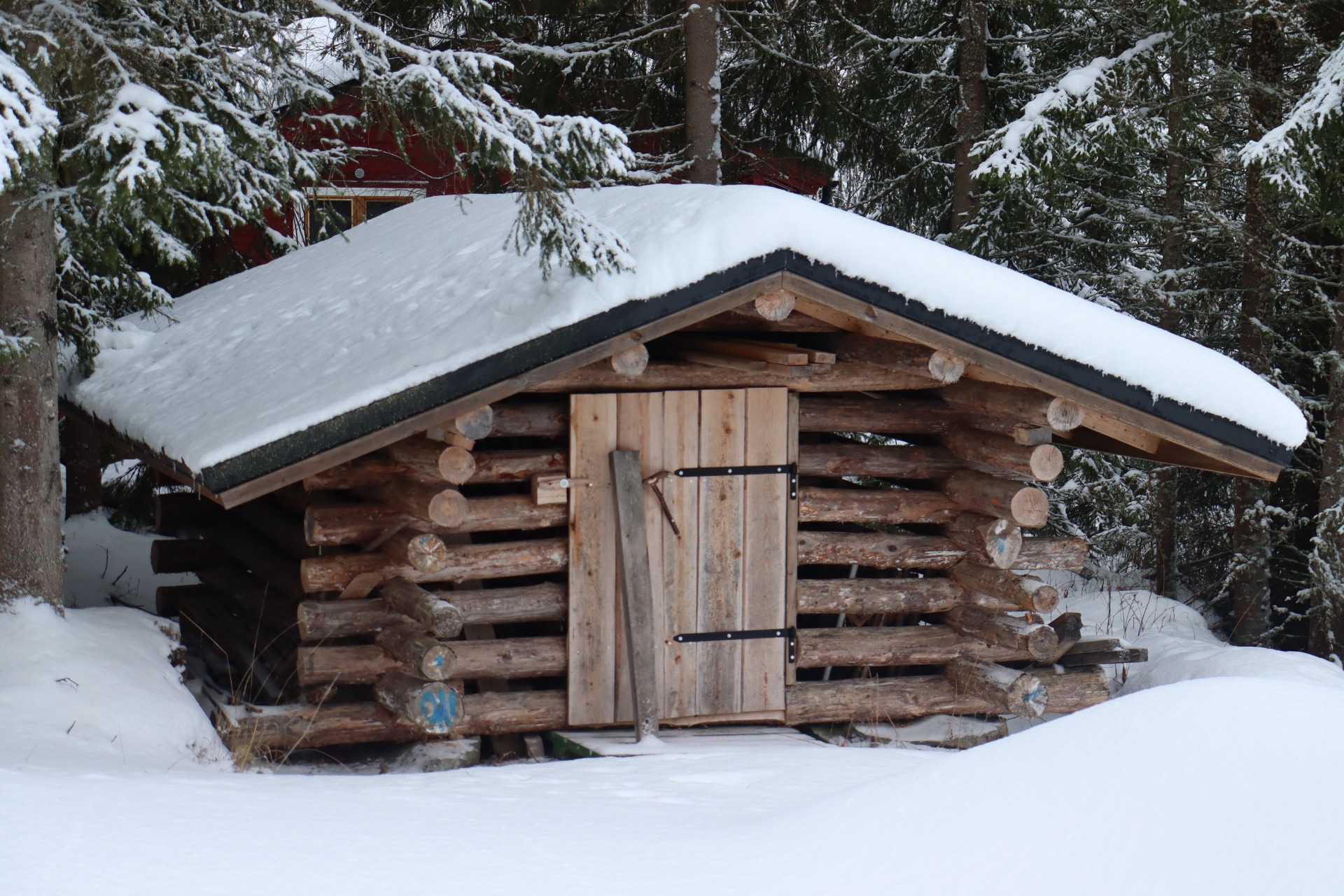 Polttopuut lumelta suojassa